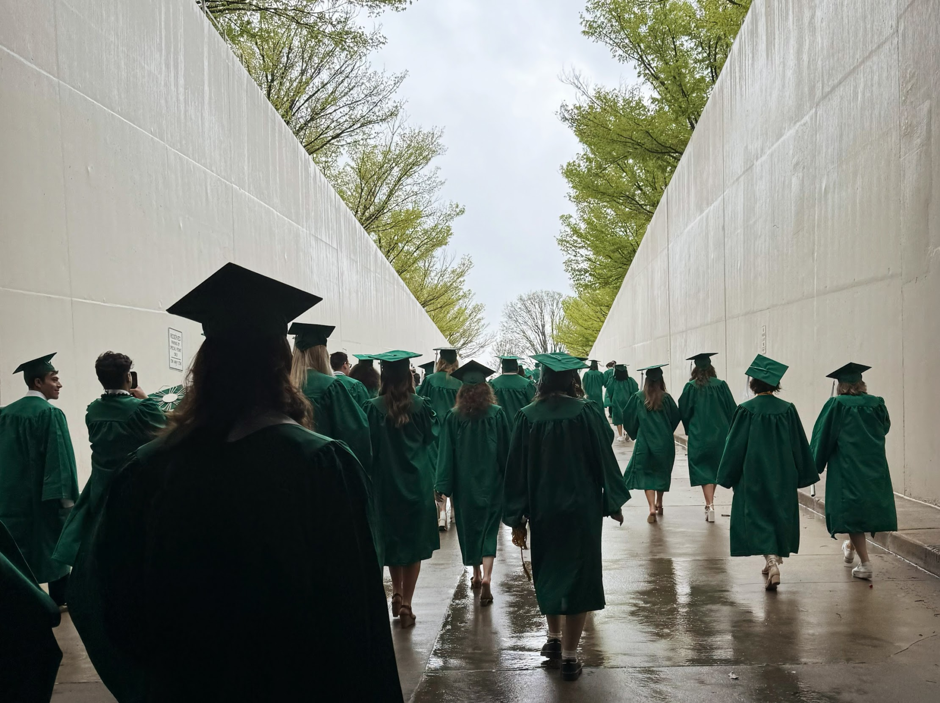 Adulting 101: Free MSU courses teach balanced budgets, cooking, pet care